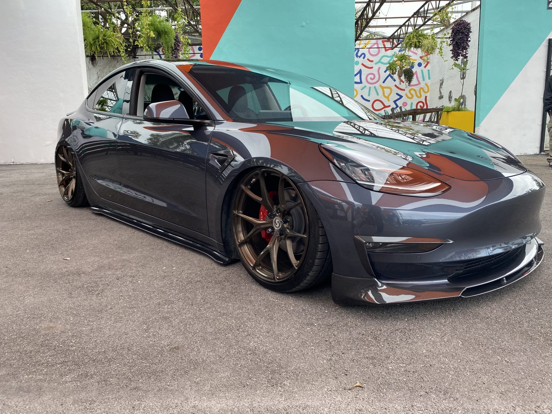 Custom Tesla